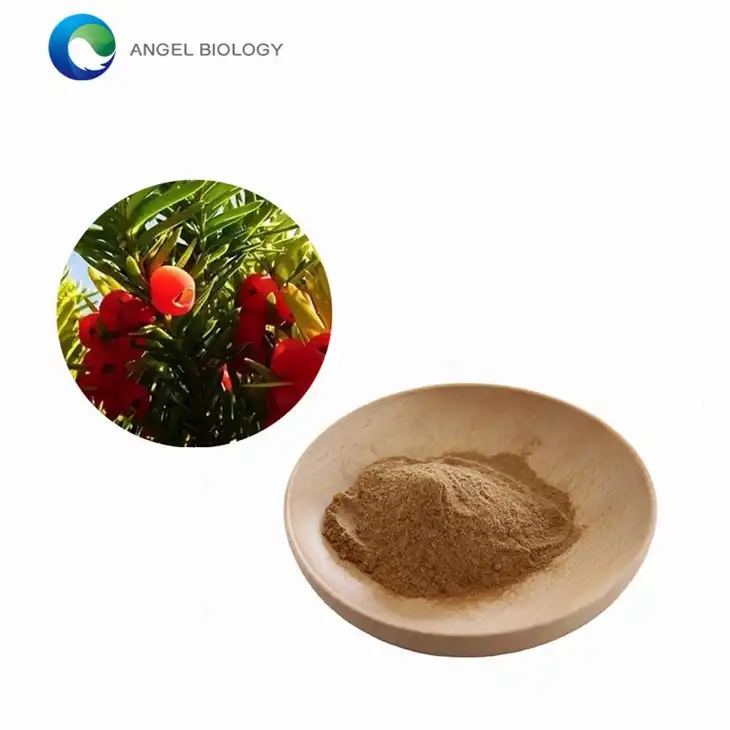 Top 10 Taxus Chinensis Extract Manufacturers in China For 2025